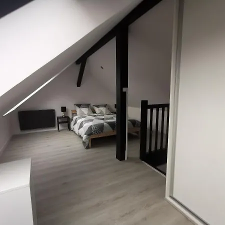 Apartment Duplex, Chu , Centre-Ville, Garage Prive, Calme Grenoble