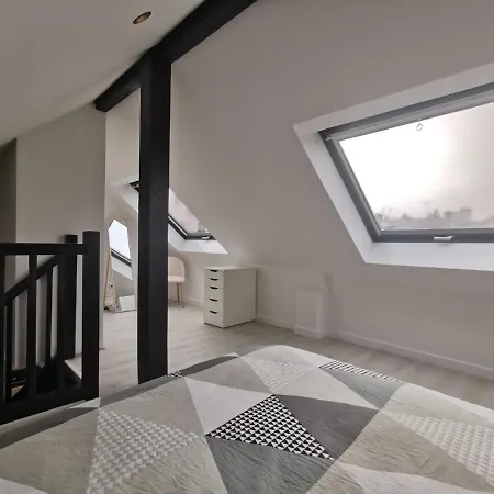 Duplex, Chu , Centre-Ville, Garage Prive, Calme * Grenoble