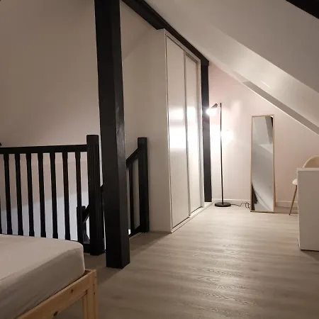 Duplex, Chu , Centre-Ville, Garage Prive, Calme Apartment Grenoble